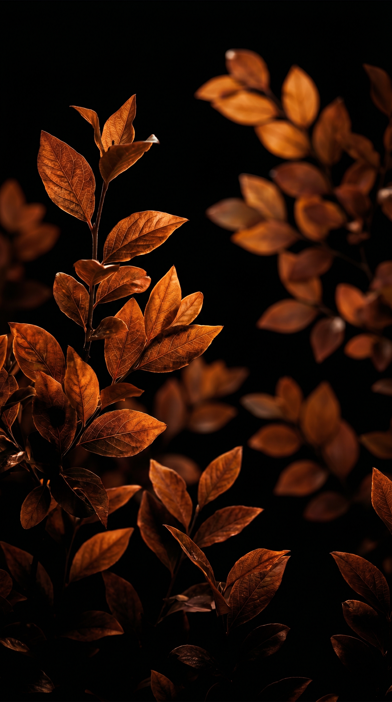 Leaves In Black Void